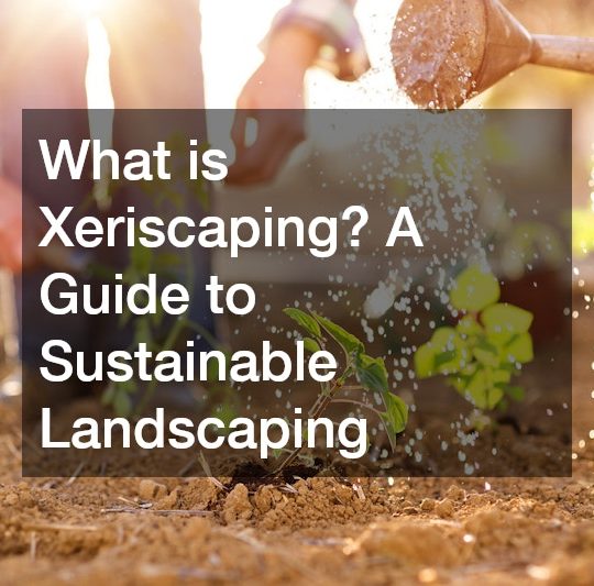 What is Xeriscaping? A Guide to Sustainable Landscaping